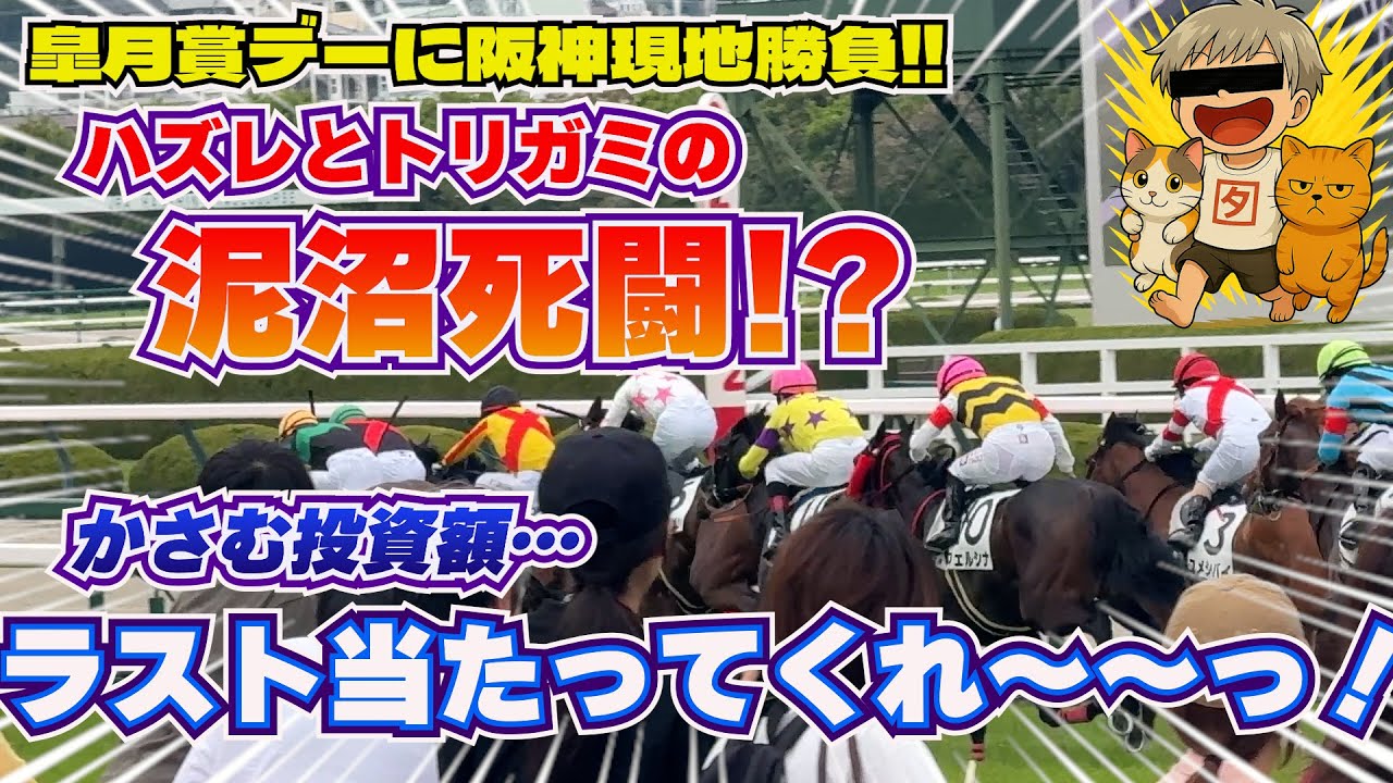 【競馬】総投資10万目前…ニャンズよ、我にチカラを～！