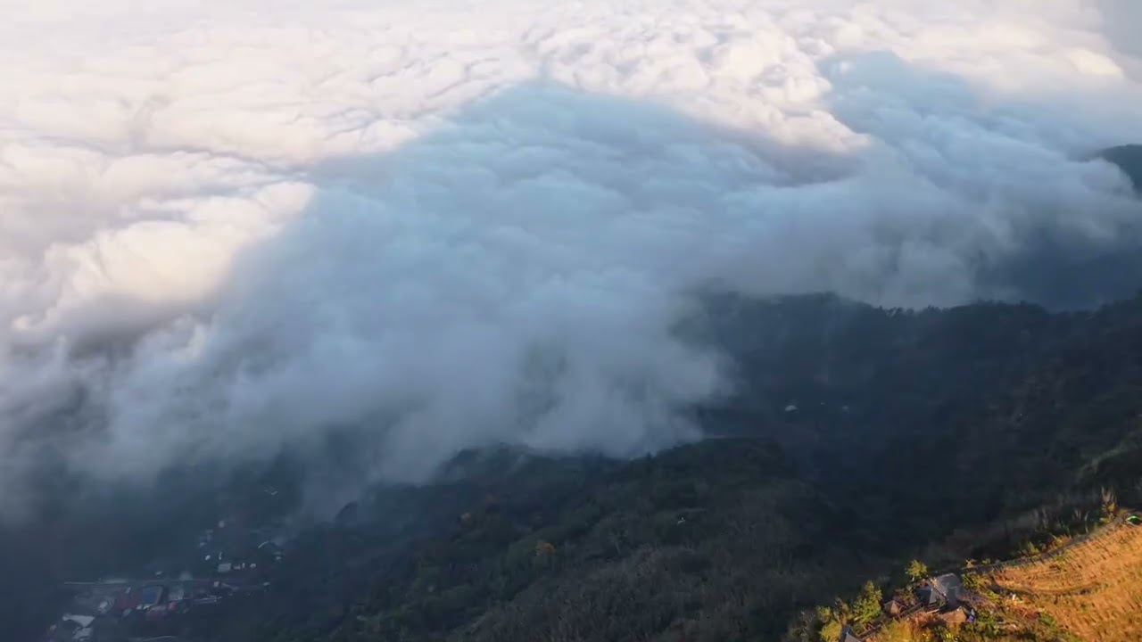 阿里山隙頂二延平步道晨間雲海空拍1150120