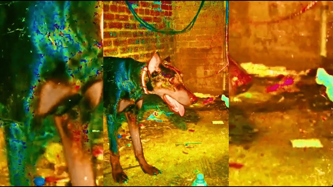 Obejrzyj GoldLink - AVENTADOR (Official Audio) w YouTube Obejrzyj GoldLink - AVENTADOR (Official Audio) w YouTube