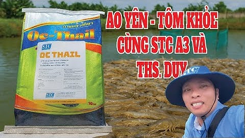 STC A3 ở Đầm Dơi: ThS. Duy chỉ cách làm ao yên, tôm lớn mạnh!