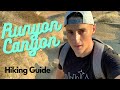 Runyon Canyon: Snakes, Owls, Emergency Rescues, and GREAT hikes! (2021)