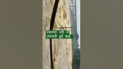 रजरप्पा में उफनती नदी 2022// Rajrappa Bhairvi& Damodar River