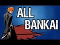 ALL BANKAI IN BLEACH | Tekking101