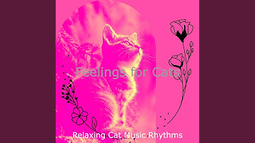Pulsating Moods for Sleeping Cats