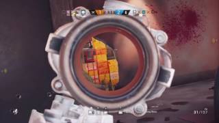Back2Back Aces