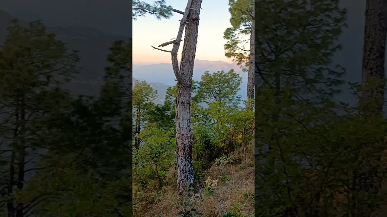 Stay Close To Nature ✌️ 