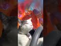 Yuumi Cat on Sion #yuumi #sion #leagueoflegendsmemes