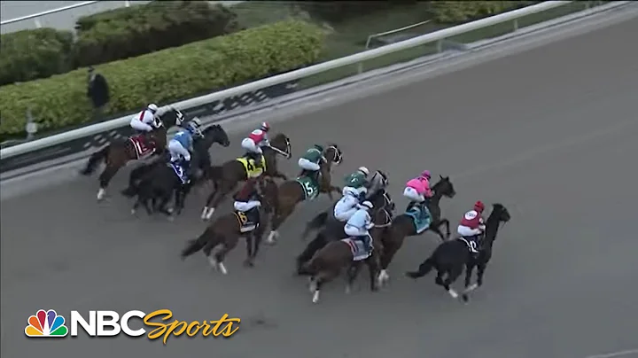 Fasig-Tipton Fountain of Youth 2022 (FULL RACE) | ...