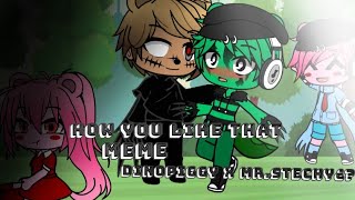 How You Like Thatmemedinopiggy X Mr.stechy?