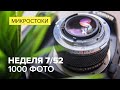 Заработок на Фотостоках 2019 7/52: макро-объектив за 0 рублей, делаю 2000 фото и увеличиваю обороты
