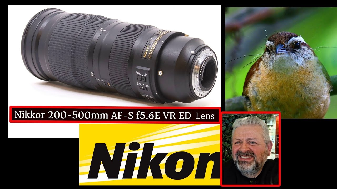Nikon 200-500mm f5.6 e Lens | VR ED Review Birding Wildlife