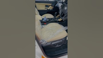 Safari Memory Seat | welcome feature #shorts #short #shortvideo #shortsvideo #shortsfeed #shortfeed