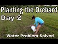 Planting Fruit Trees; Day 2