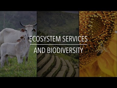 FAO Policy Series: Ecosystem Services and Biodiversity