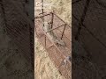 مصيدة الثعالب 