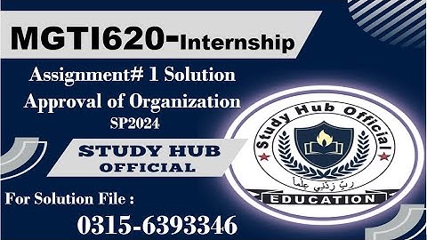 MGTI620 Assignment 1 solution SP2024 #mgti620