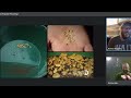 Episode 5 geologist and marine react to americas backyard gold