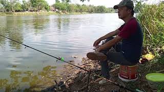 ตกปลาวันนี้ได้หายง่วงนอน #fishing #nature #ตกปลา #thailand #relaxing #ตกปลาหมายธรรมชาติ #ตกปลา