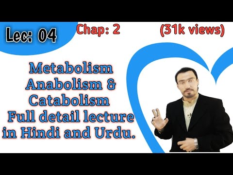 what is Metabolism? Anabolism and Catabolism full detail lecture in Hindi and Urdu by Azaz Ahmed.