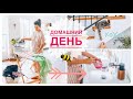 🐱🧼Как я провожу день дома | Уборка, глажка, кошки