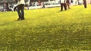 y fm fun cricket 3 screenshot 5