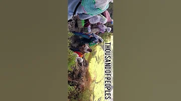 Ethiopian Orthodox Tewahdo Beauty Kidest Arsema Jiru Blessed Shorts 