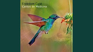 Video thumbnail of "Freedom Café - El Duende"