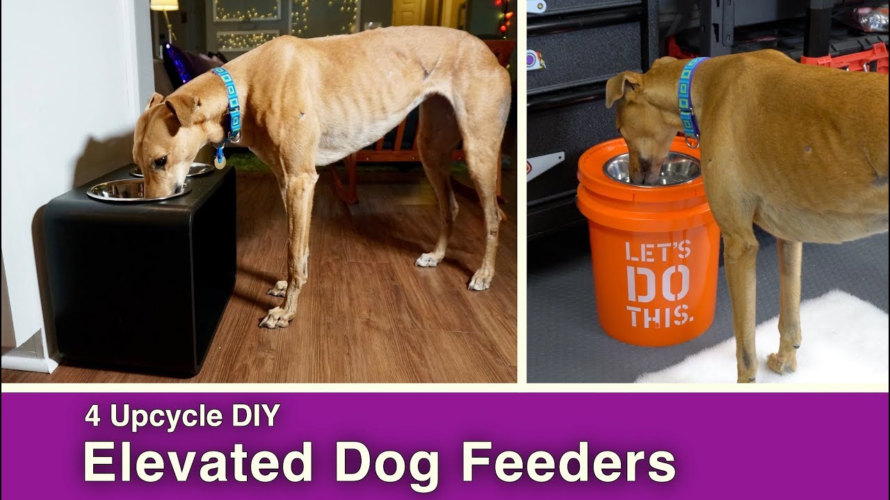homemade dog feeder