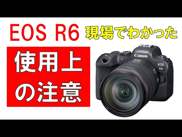 クリエイター目線で Canon Eos R6 を仕事とプライベートで2ヶ月使って分かった3つの特徴まとめ レビュー Litetube