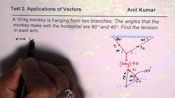 Vector Application Tension in Arms of Monkey