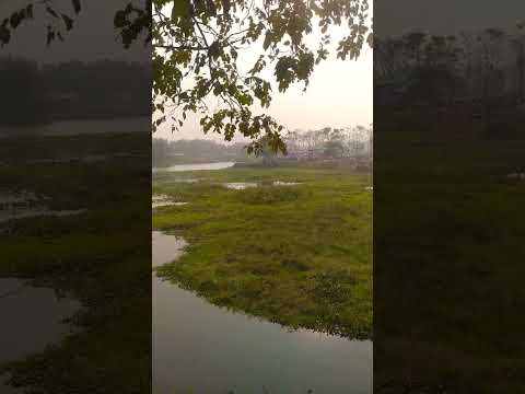 Abhayapuri Koya kujiya.Eco park #shorts #vlog #vlog_video #assam #india #all #traveling #viral