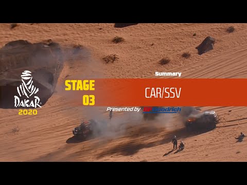 Dakar 2020 - Stage 3 (Neom / Neom) - Car/SSV Summary