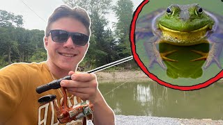 Bullfrog Catch and Cook!