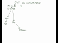 DVT og LE