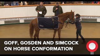 Goff, Simcock and Gosden on Horse Conformation