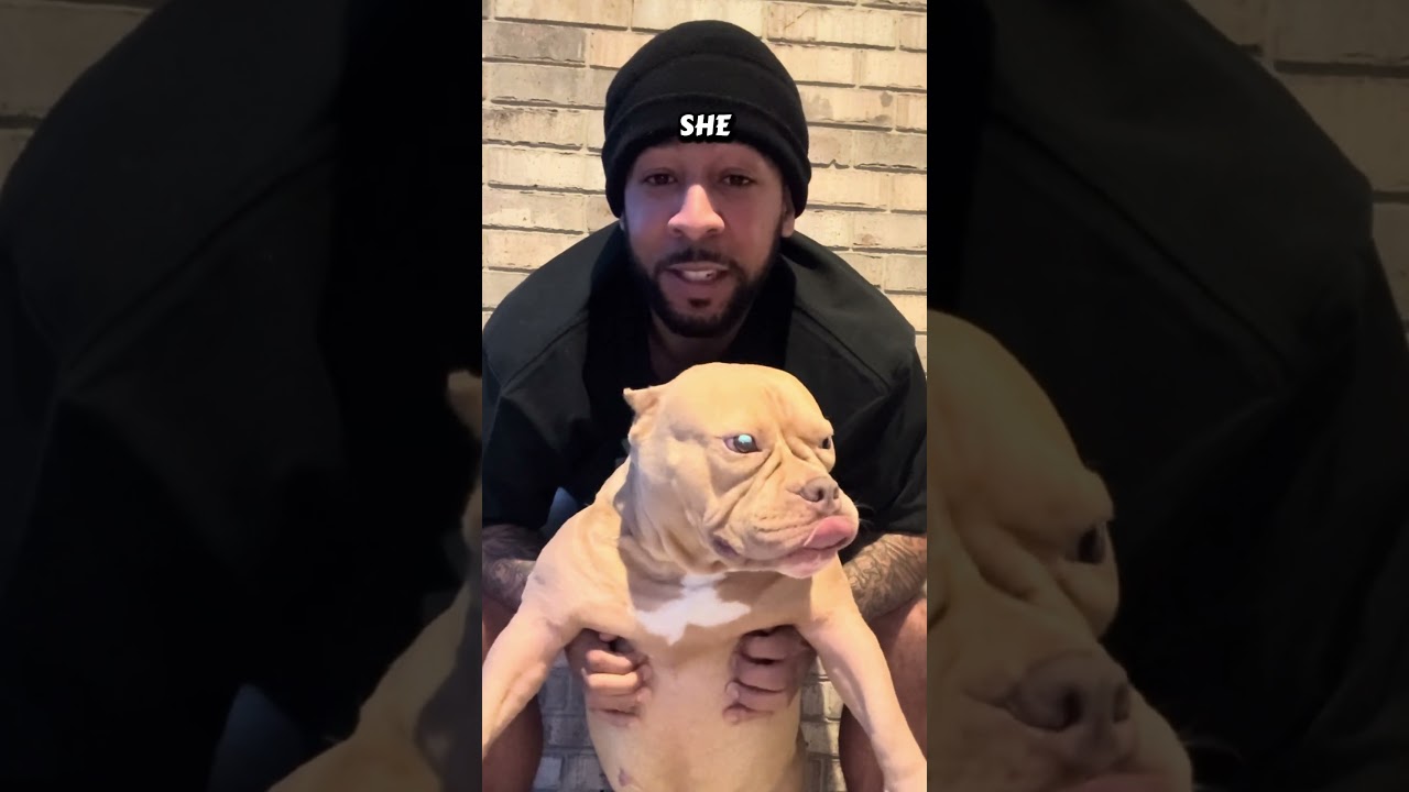 My DOG and I Dive into Fun Questions!