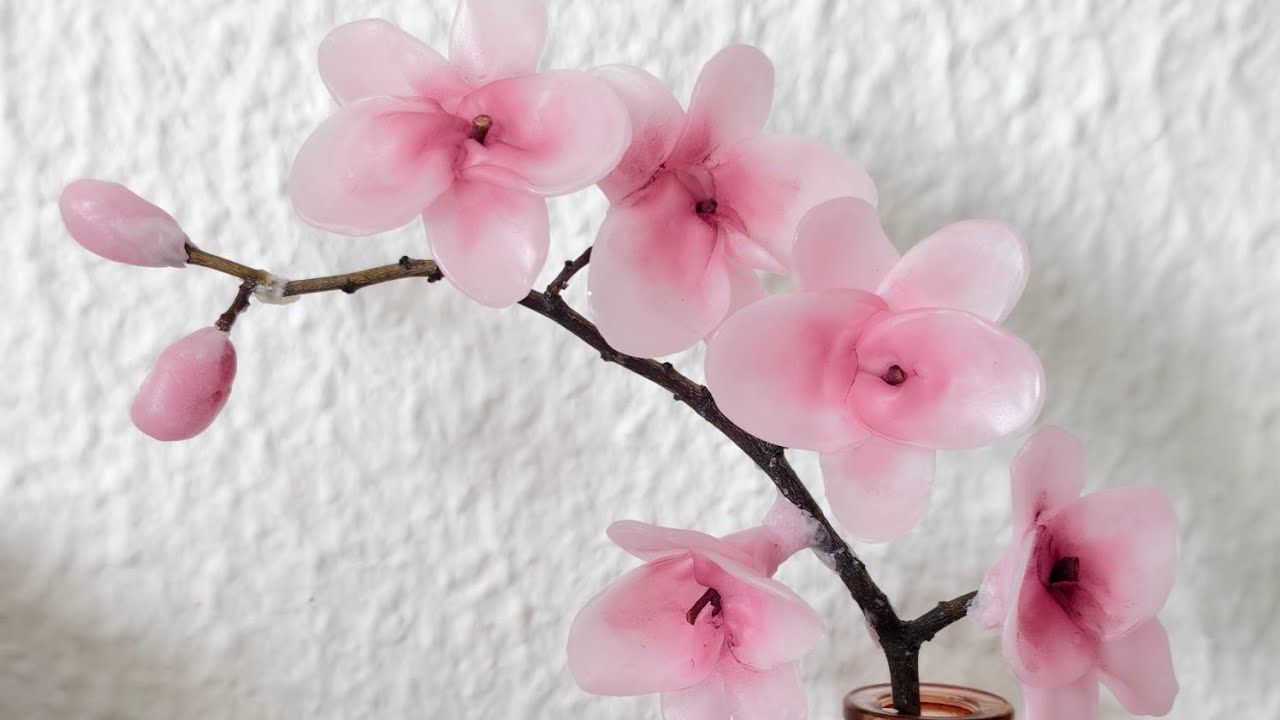 Diy waxflower Cherry blossom 