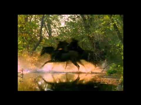 Robin Hoods Tochter (Deutscher Trailer) Keira Knightley Malcolm McDowell