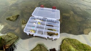 The BEST Winter Bass Fishing Lures 2021