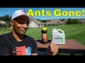How to Get Rid of Fire Ants in Your Yard - 2 Easy Options