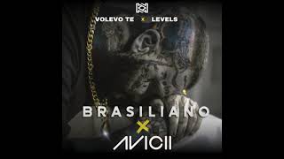 Video voorbeeld van "BRASILIANO X AVICII - VOLEVO TE X LEVELS (PEKKA MASHUP)"