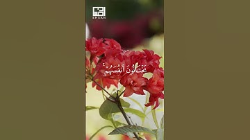 الآية 106و 107 من سورة النساء القارئ ياسر الدوسري #اكسبلور #ياسر_الدوسري