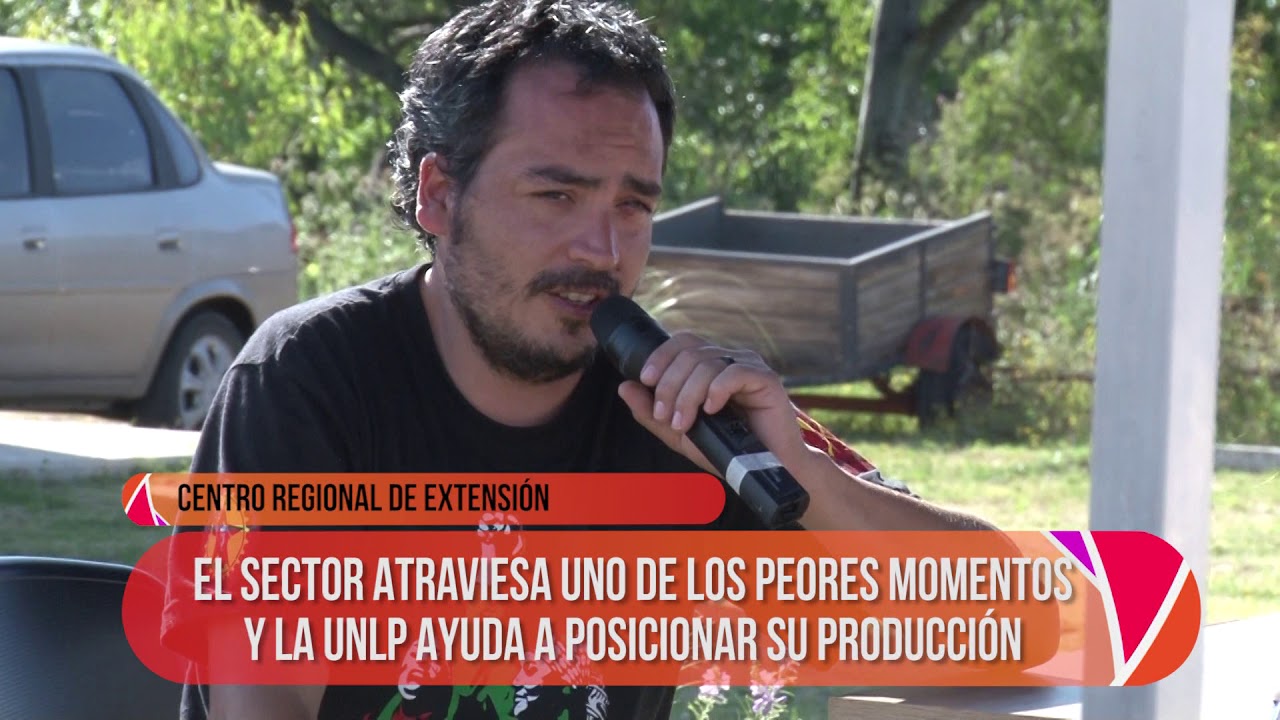 universidad nacional de la plata brasileiros Noticias UNLP- FERIAZO