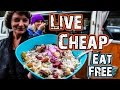 LIVE CHEAP - EAT FREE - A Foraging Adventure