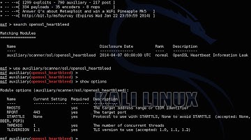 Heartbleed Exploit in Action!