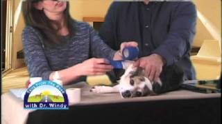Tails from the Road: Medical and Nursing Skills