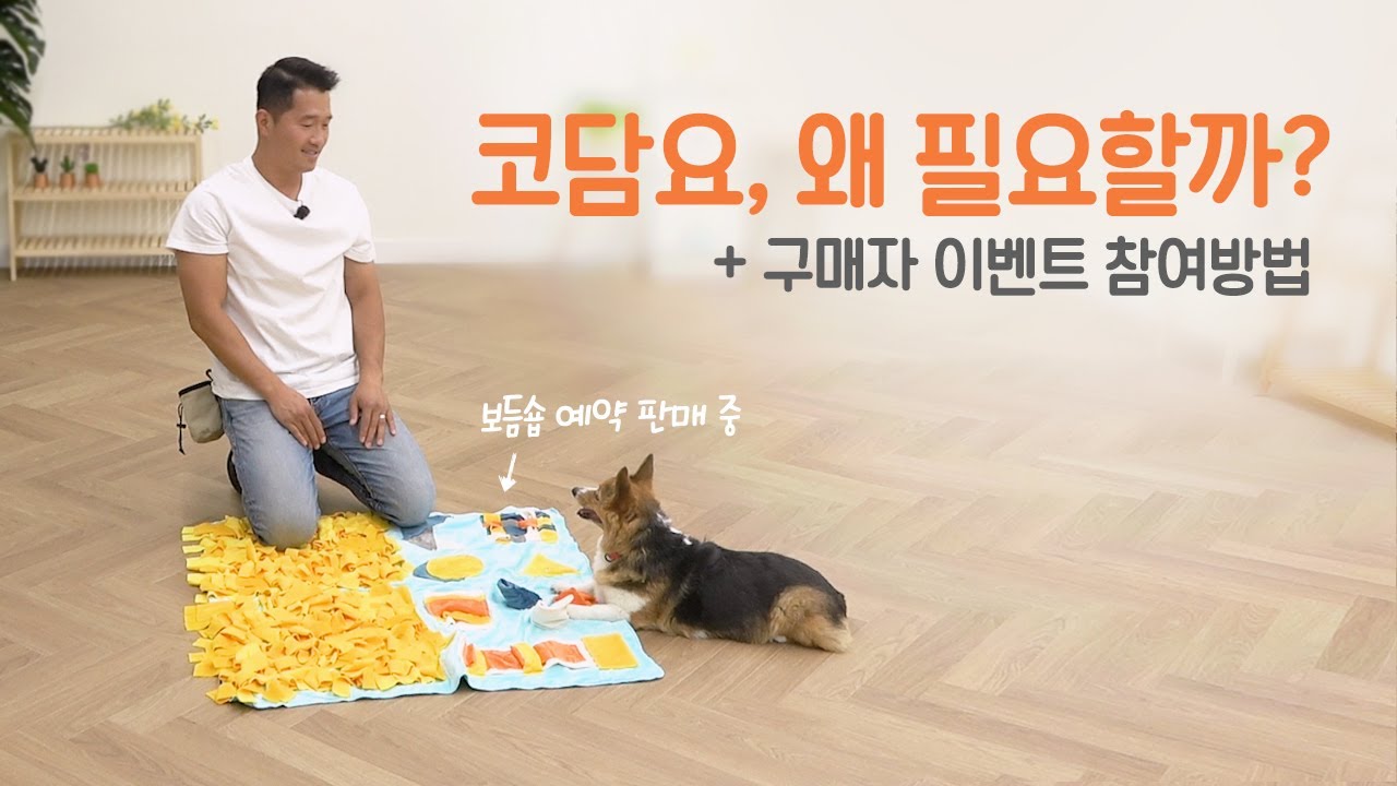 [보듬 코담요] 노즈워크 후각 활동 왜 필요할까?