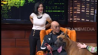 Kakak Beradik Pecinta Anjing Great Dane 'Scooby Doo' | HITAM PUTIH (25/03/19) Part 2