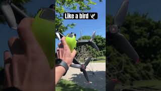I’m like a bird 🕊️ #djiavata2 #djifpv #droneshot