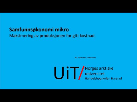 Maksimering av produksjon for gitt kostnad